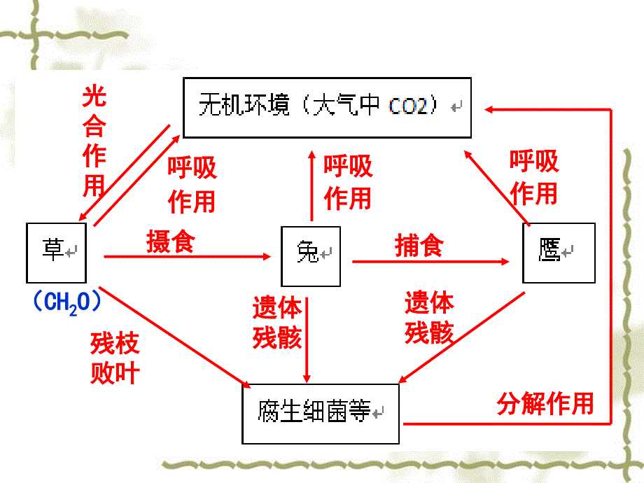 生态系统的物质循环上课_第4页