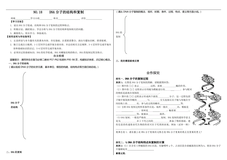 DNA分子的结构复制与基因_第1页