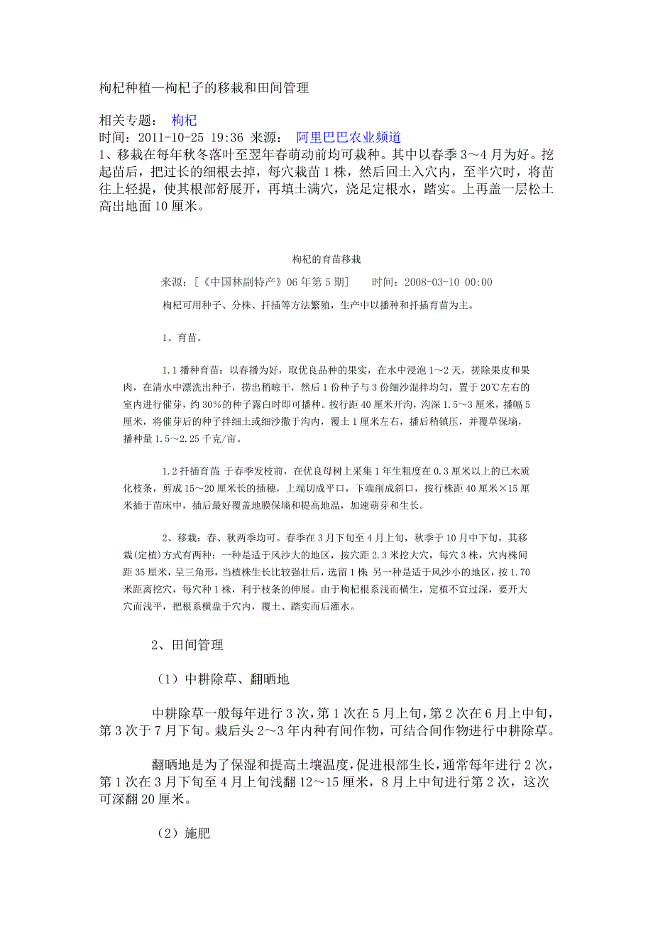 枸杞种植—枸杞子的移栽和田间管理_第1页