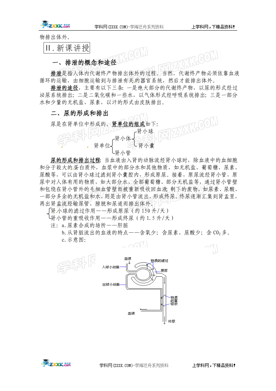 高中生物一轮复习教案(20)：代谢终产物的排出_第2页