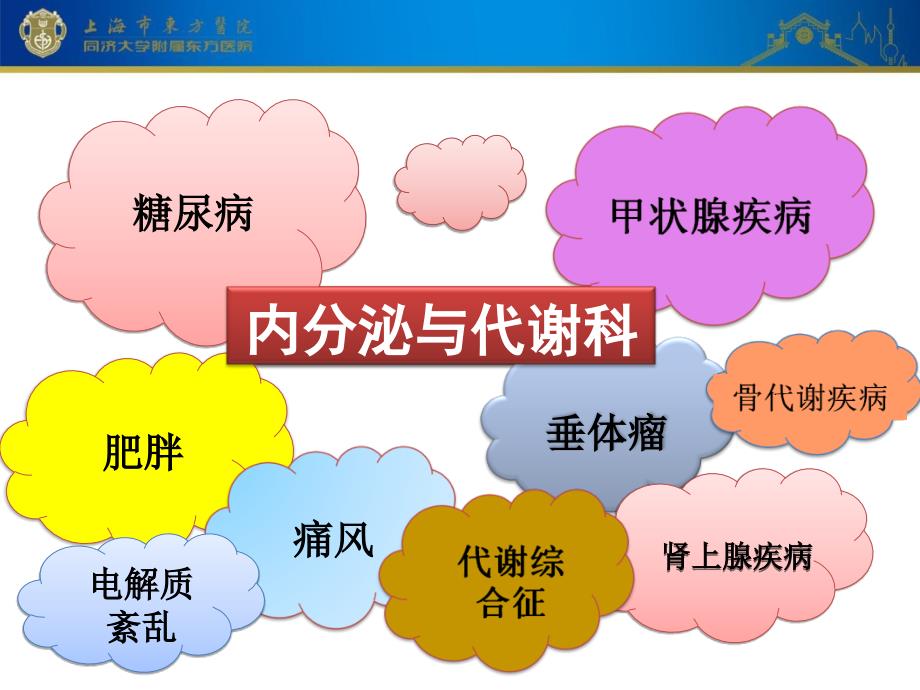 内分泌科相关护理知识幻灯片_第2页