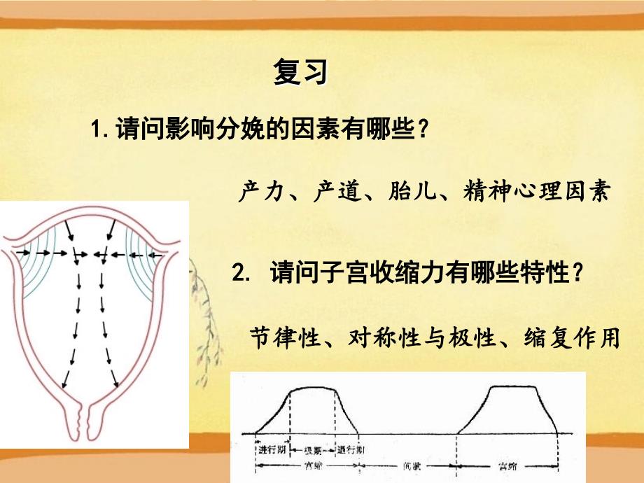 正常分娩分娩机制护理ppt课件_第2页