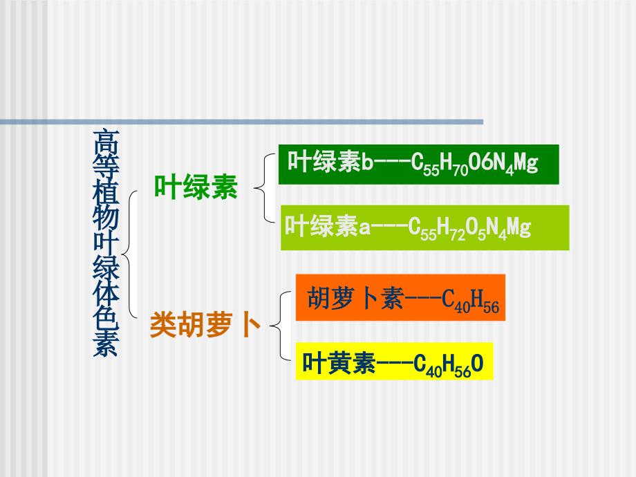 植物叶绿体色素含量的测定_第2页