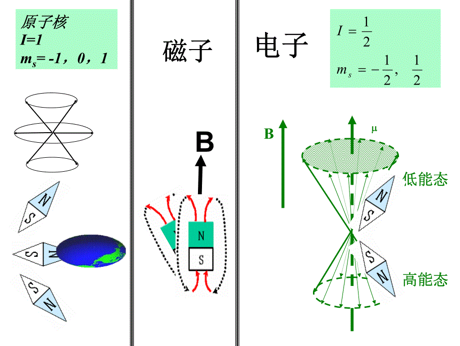 电子顺磁共振技术_第4页