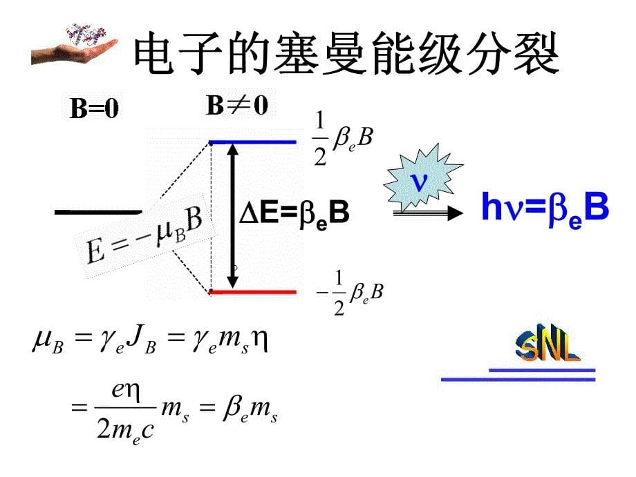 电子顺磁共振技术_第5页