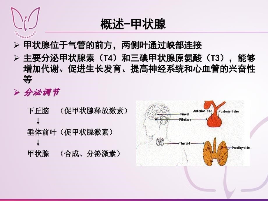 妊娠与甲状腺疾病课件_第5页