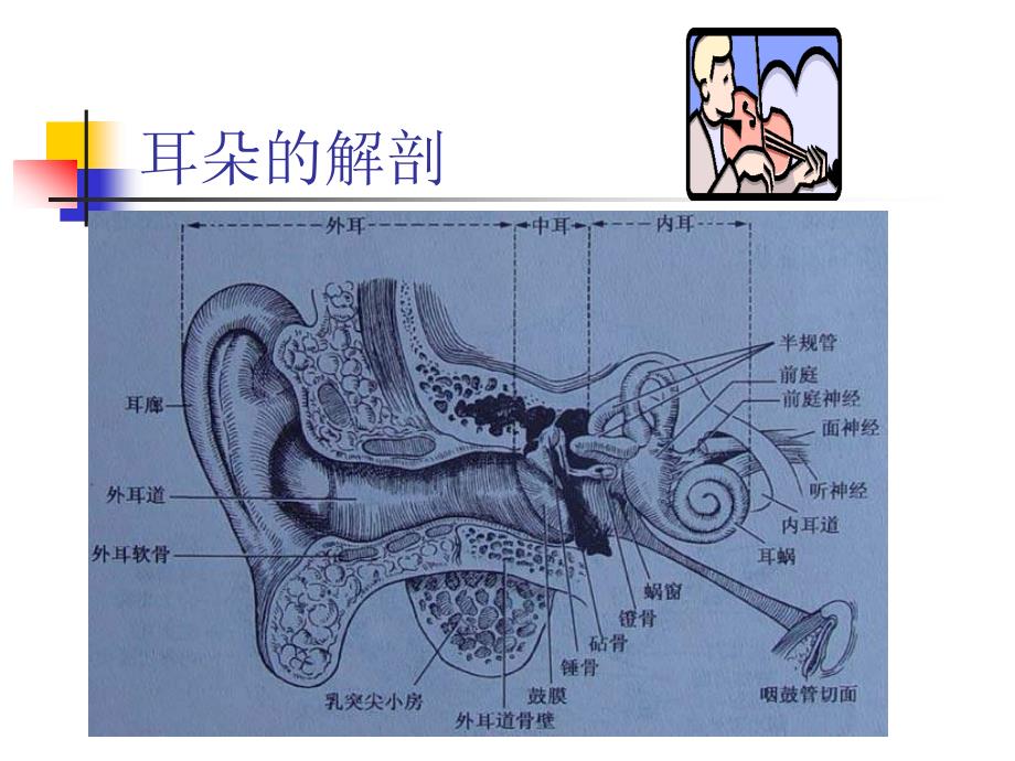 教科版四上科学《保护我们的听力》ppt_第2页