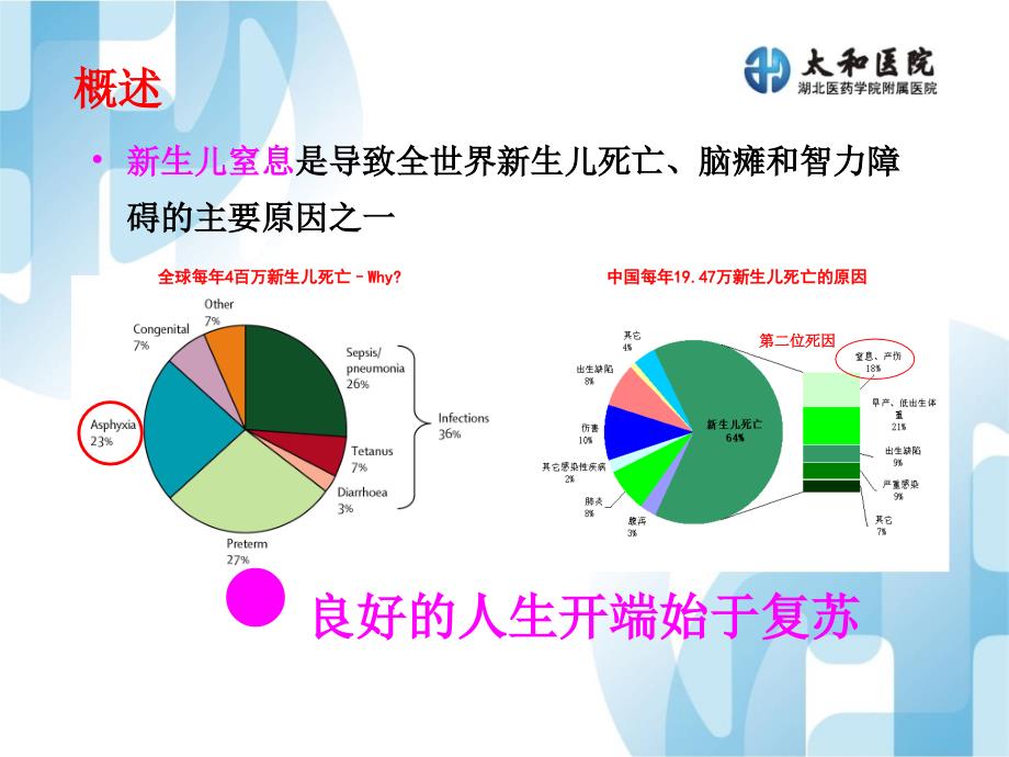 新生儿复苏ppt课件_第2页