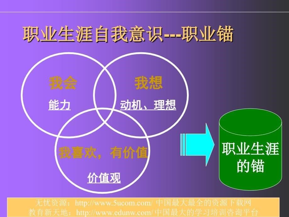 职业生涯发展的新概念职业锚_第5页