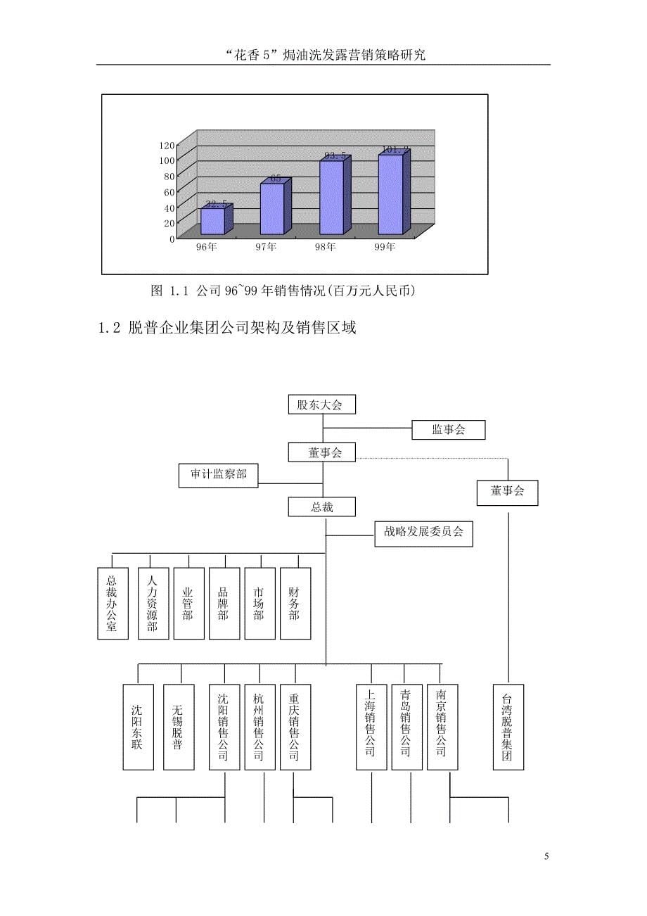 论文花香5洗发水的上市营销_第5页