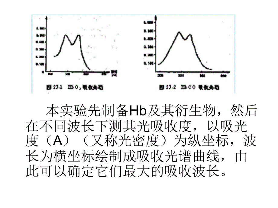 实验二 血红蛋白及其衍生物的吸收光谱及_第4页