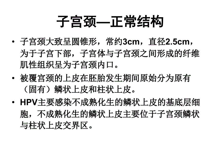 宫颈组织病理诊断_第2页