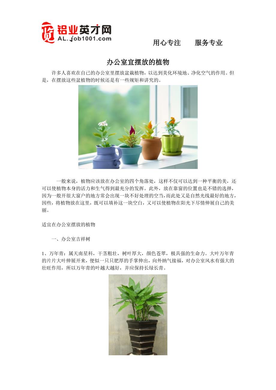 办公室宜摆放的植物_第1页