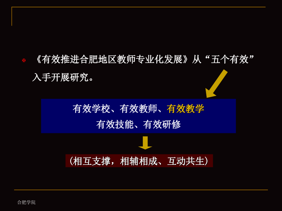 《有效推进合肥地区教师专业化发展》——有效教学实践与研究_第4页