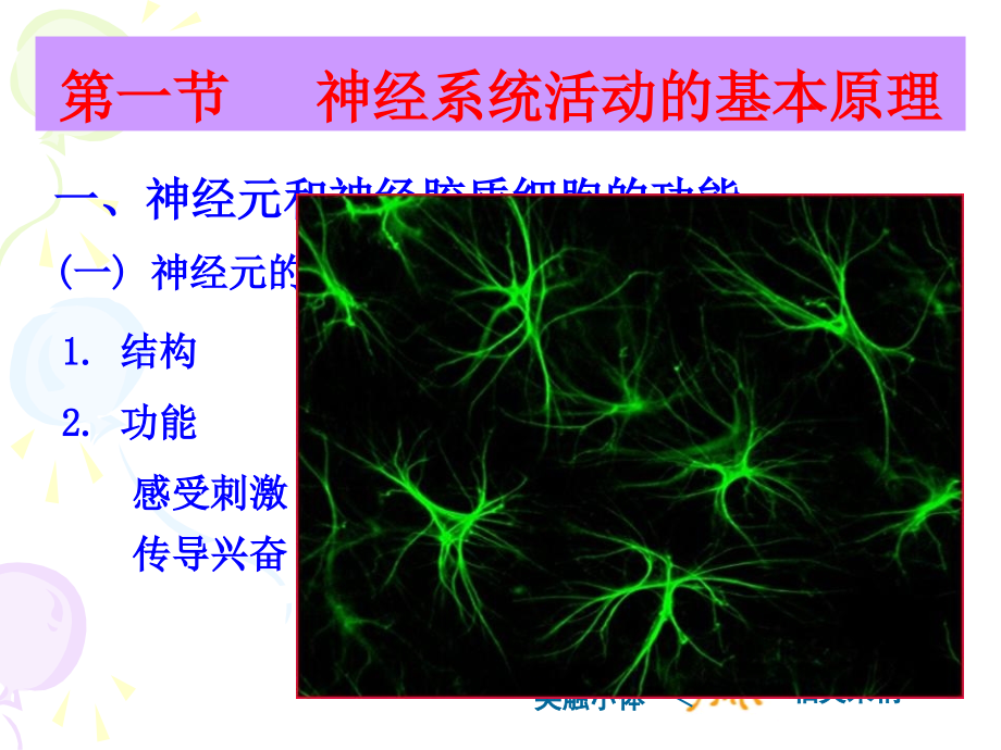 神经系统功能总论_第3页