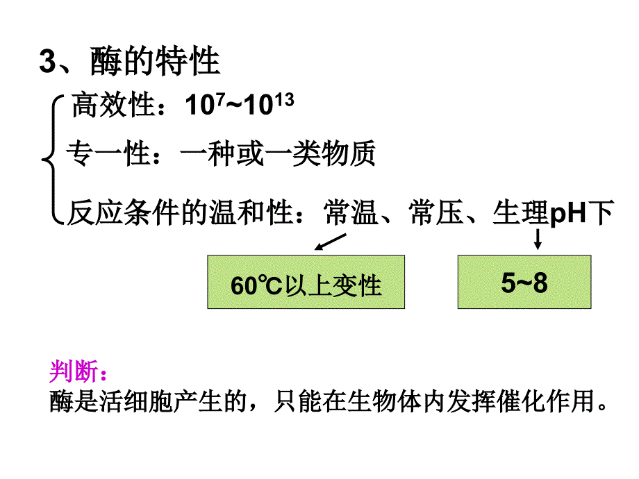 降低化学反应的酶_第2页