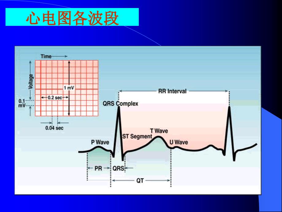 心电图岗前培训ppt幻灯片_第2页