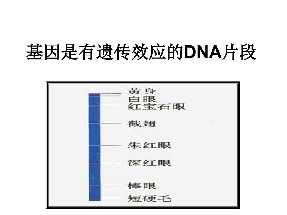 基因表达08268_第1页