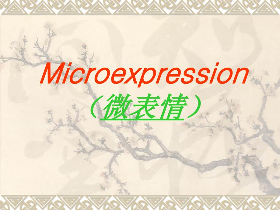 microexpression_第1页