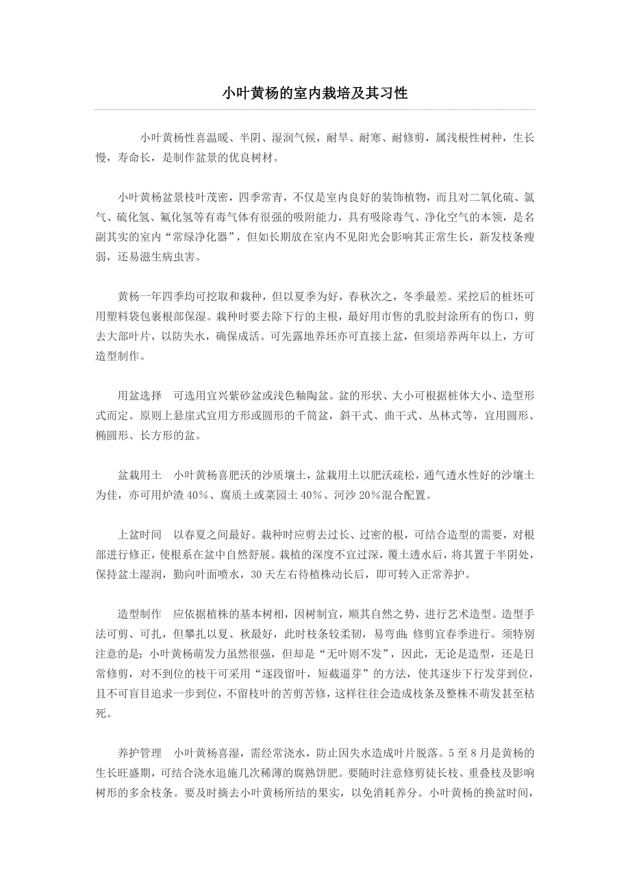小叶黄杨的室内栽培及其习性_第1页