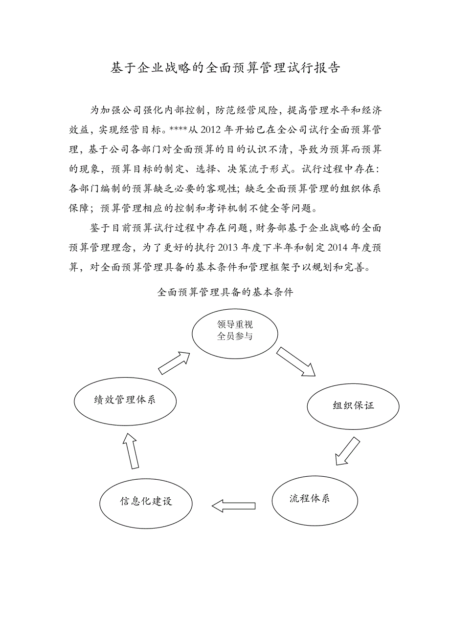 基于企业战略的全面预算管理试行报告_第1页