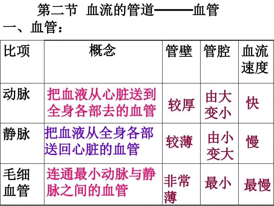 七年级生物血管课件_第5页