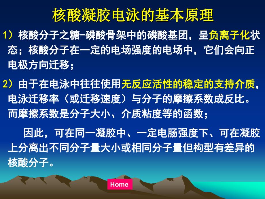 核酸的凝胶电泳_第4页