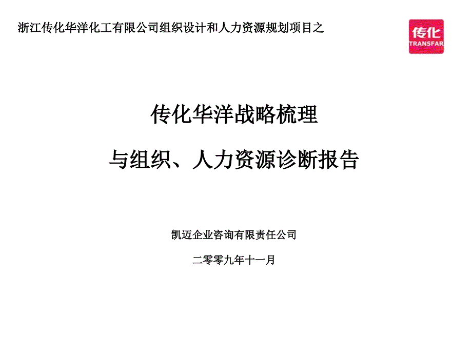 浙江传化华洋化工—战略梳理、组织与人力资源诊断报告_第1页