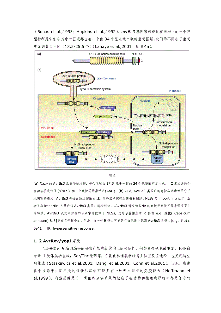 植物与病原物互作相关基因_第4页