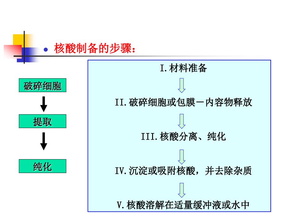 细菌基因组dna的提取_第4页