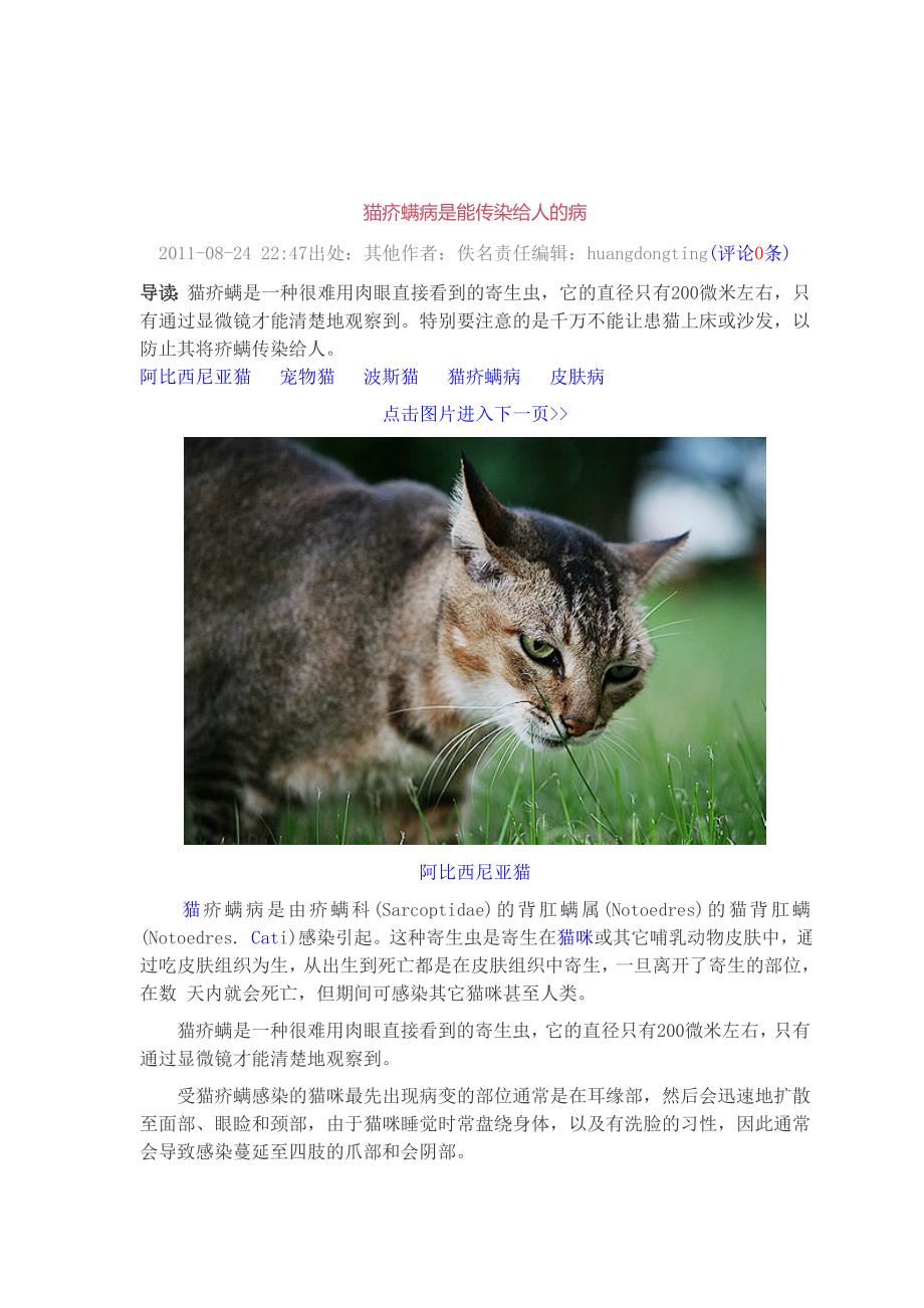 猫疥螨病是能传染给人的病_第1页