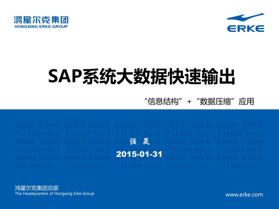 鸿星尔克SAP大数据快速输出-强晟_第1页