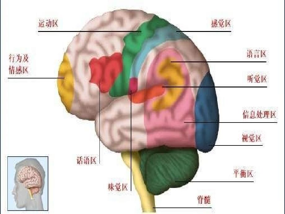 偏瘫并发症的处理ppt课件_第4页