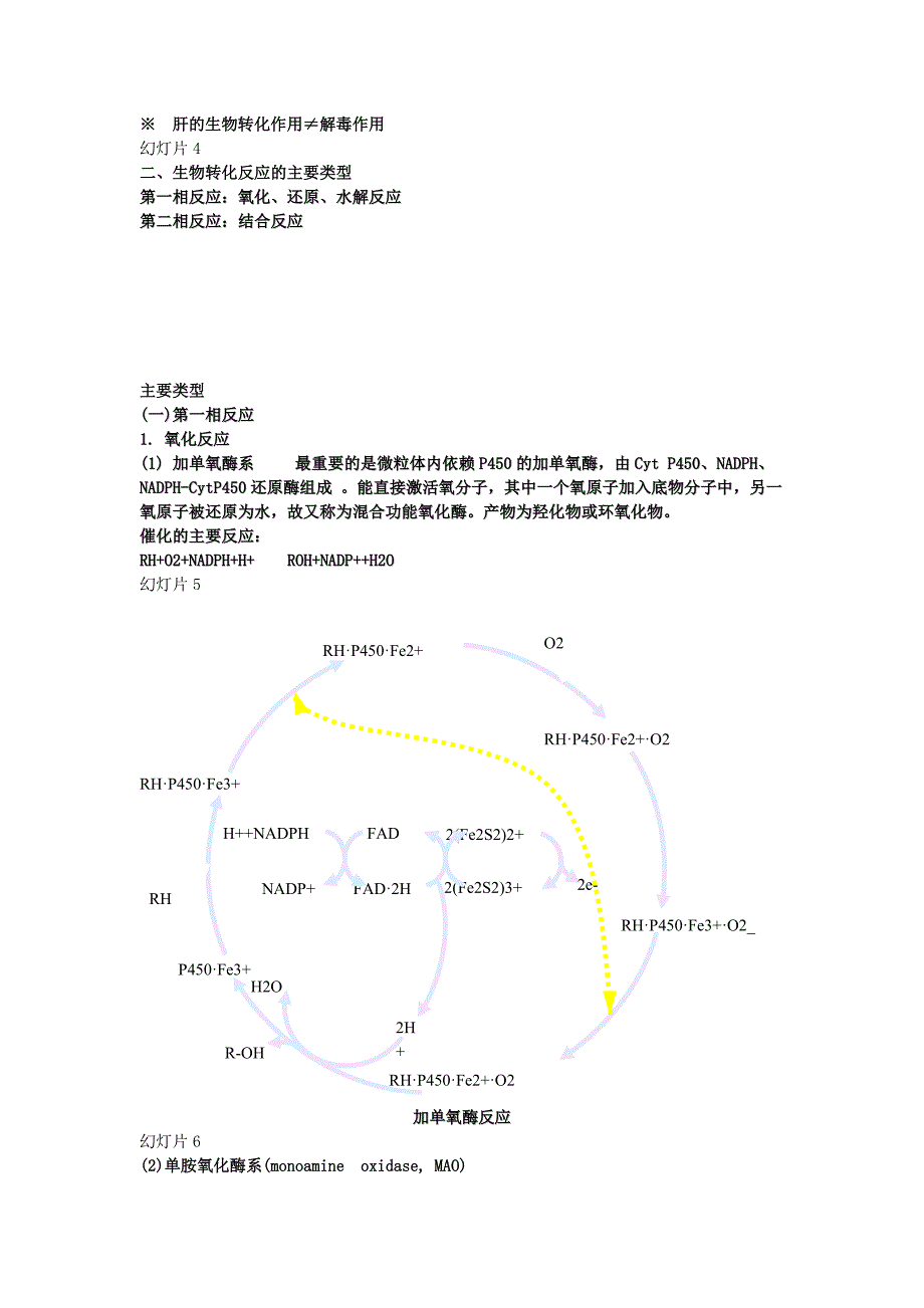 生物化学19.第十九章 肝的生物化学_第2页