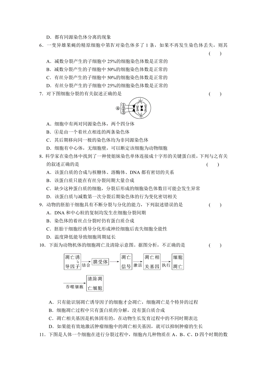 专题三 细胞生命历程_第2页