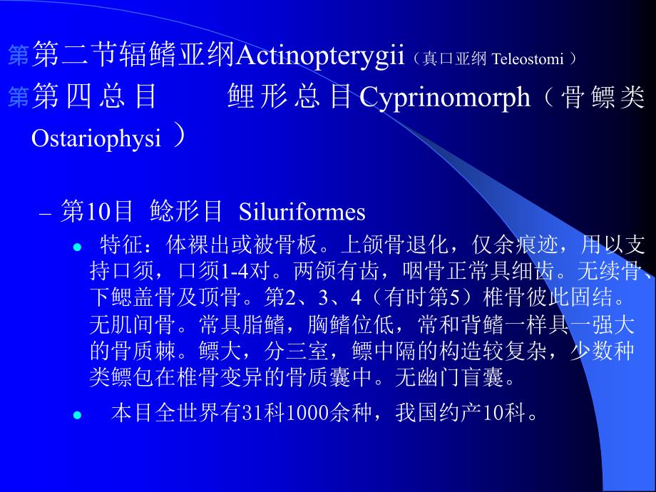(分类学)鱼类学第十五章（下）_第1页