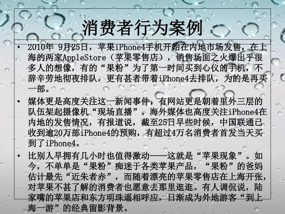 消费者行为案例分析_第5页