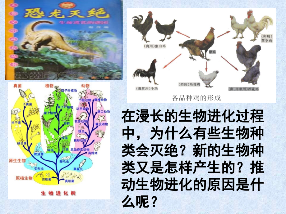 2015年新人教版八年级生物下册_第三章_第三节_生物进化的原因 课件_第2页