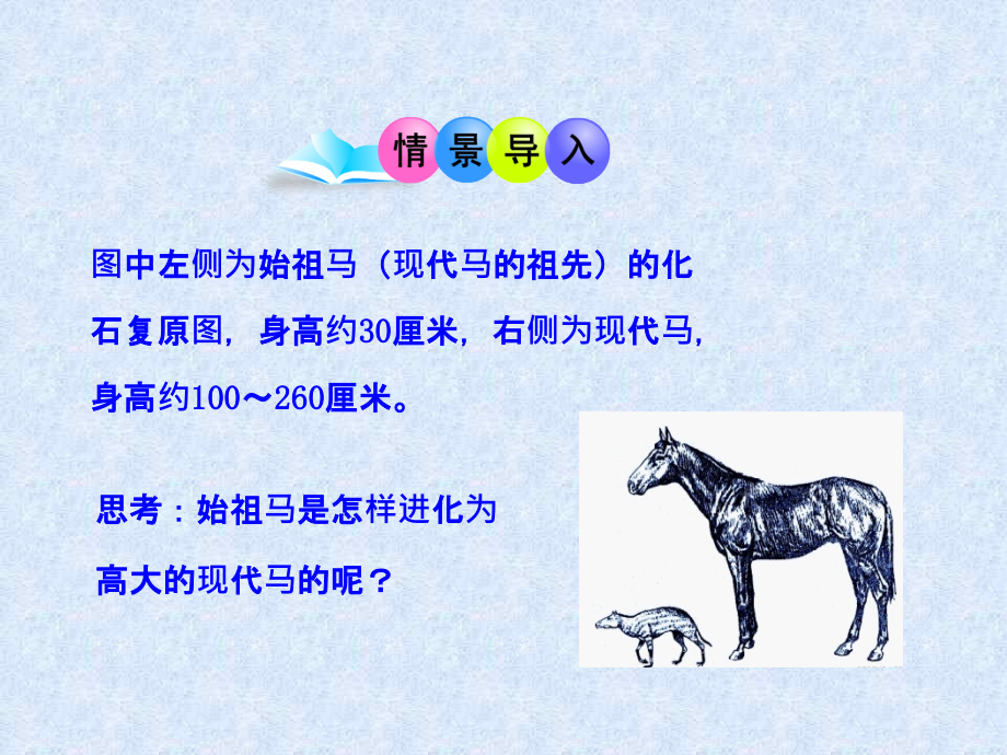 2015年新人教版八年级生物下册_第三章_第三节_生物进化的原因 课件_第4页