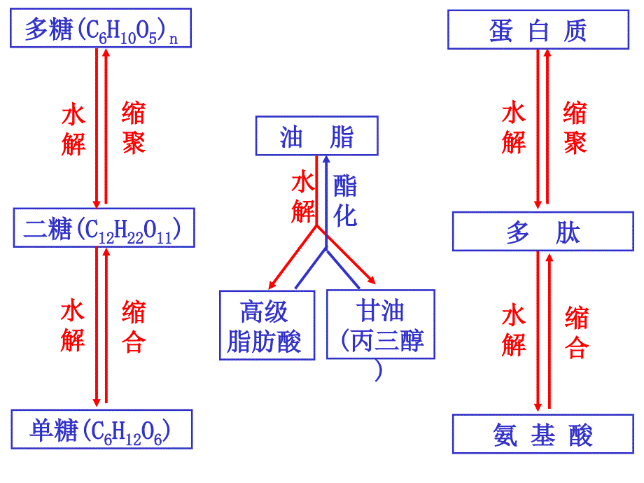 糖类、油脂、蛋白质复习_第4页