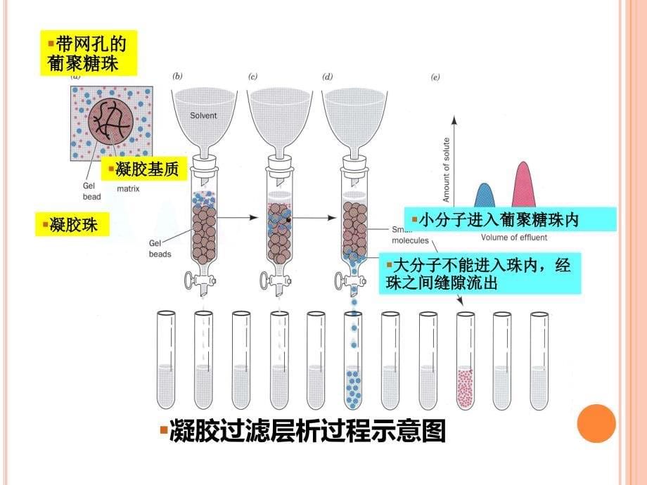 生物工程下游技术第九章 凝胶过滤及离子交换层析介质_第5页