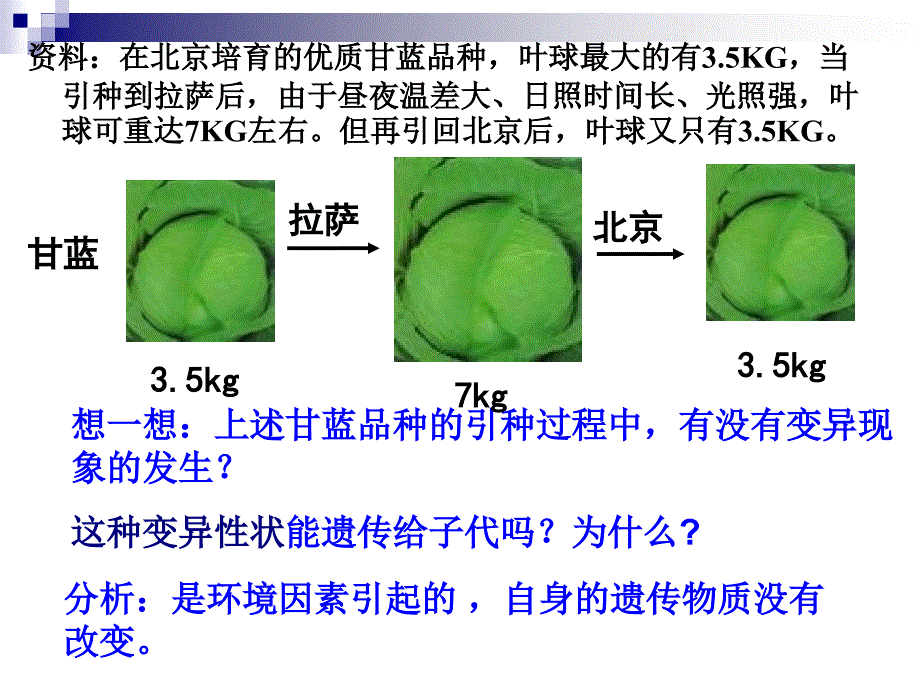 生物：5.1《基因突变和基因重组》课件(新人教版必修2)(1)yen_第2页