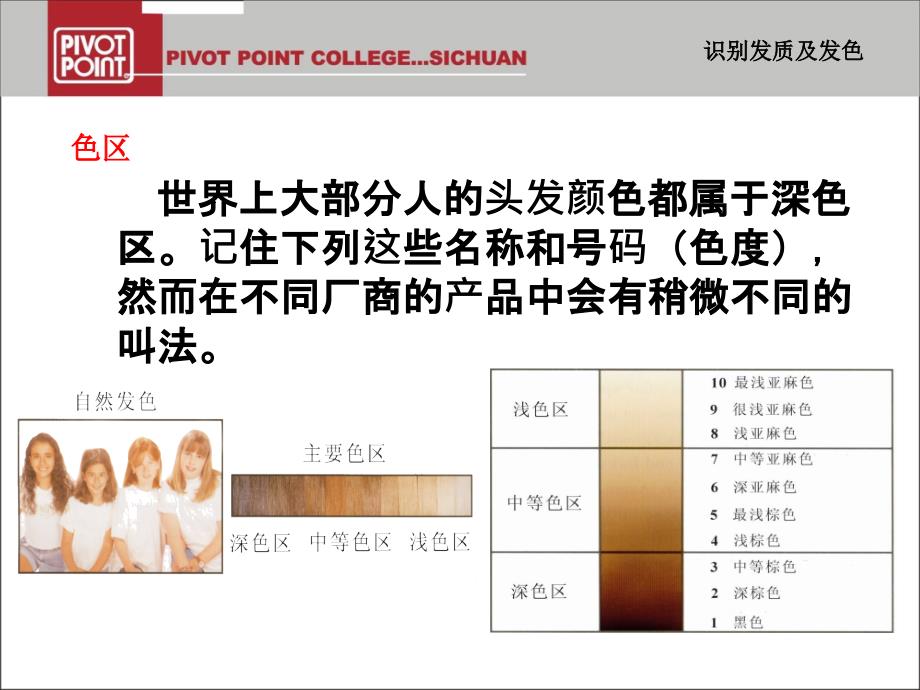 识别发质及发色《染发基础》第2讲_第4页