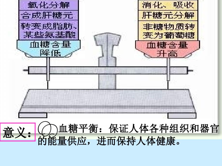 血糖调节ppt课件_第4页