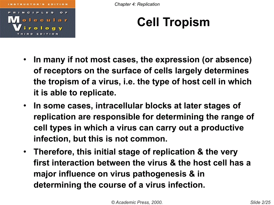 武大生科病毒学PPT (7)_第2页