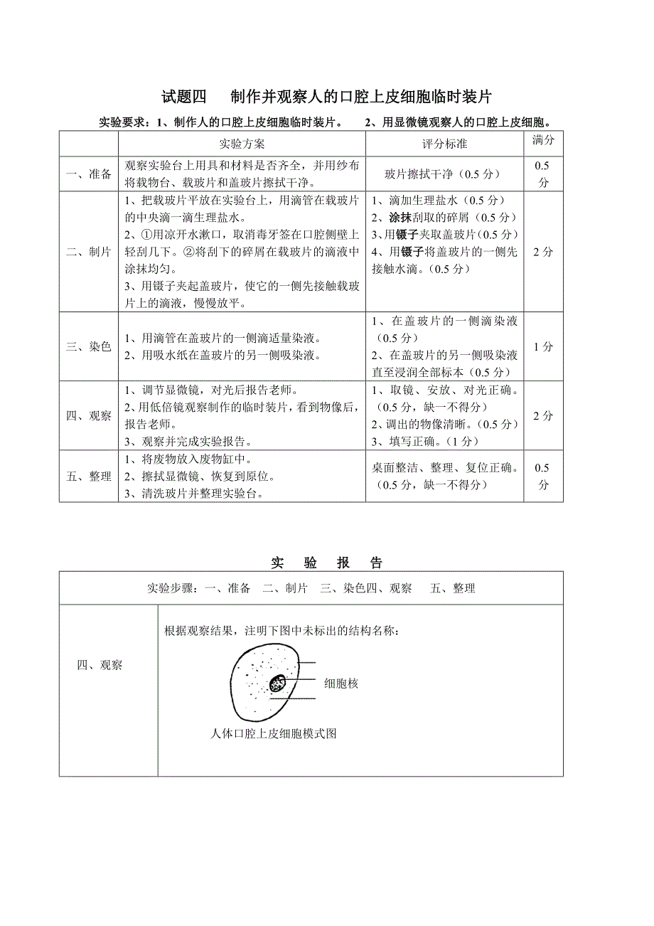 显微镜使用及观察人血涂片[1]_第4页