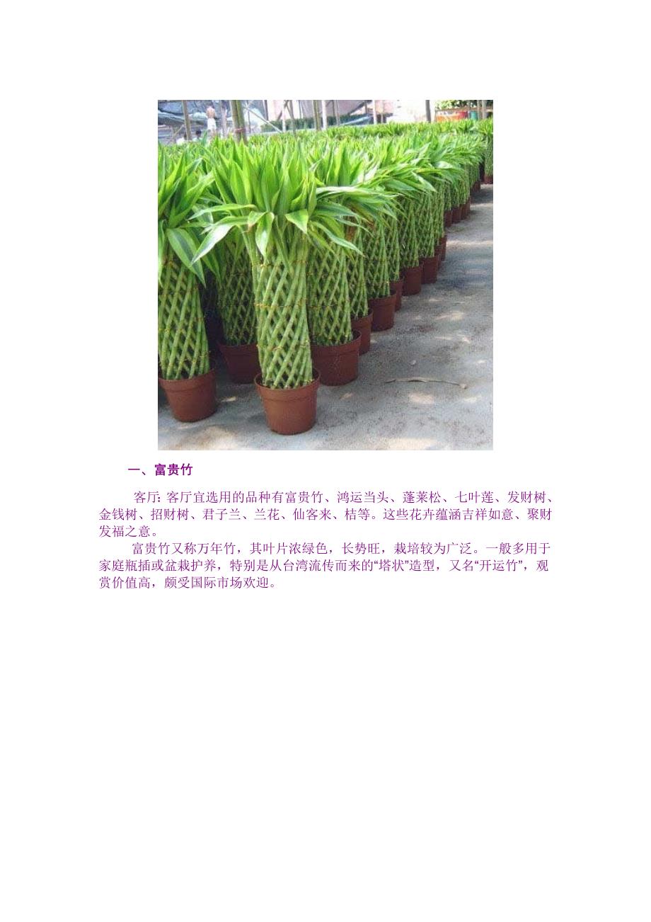 旺财旺家的28种植物23068_第1页