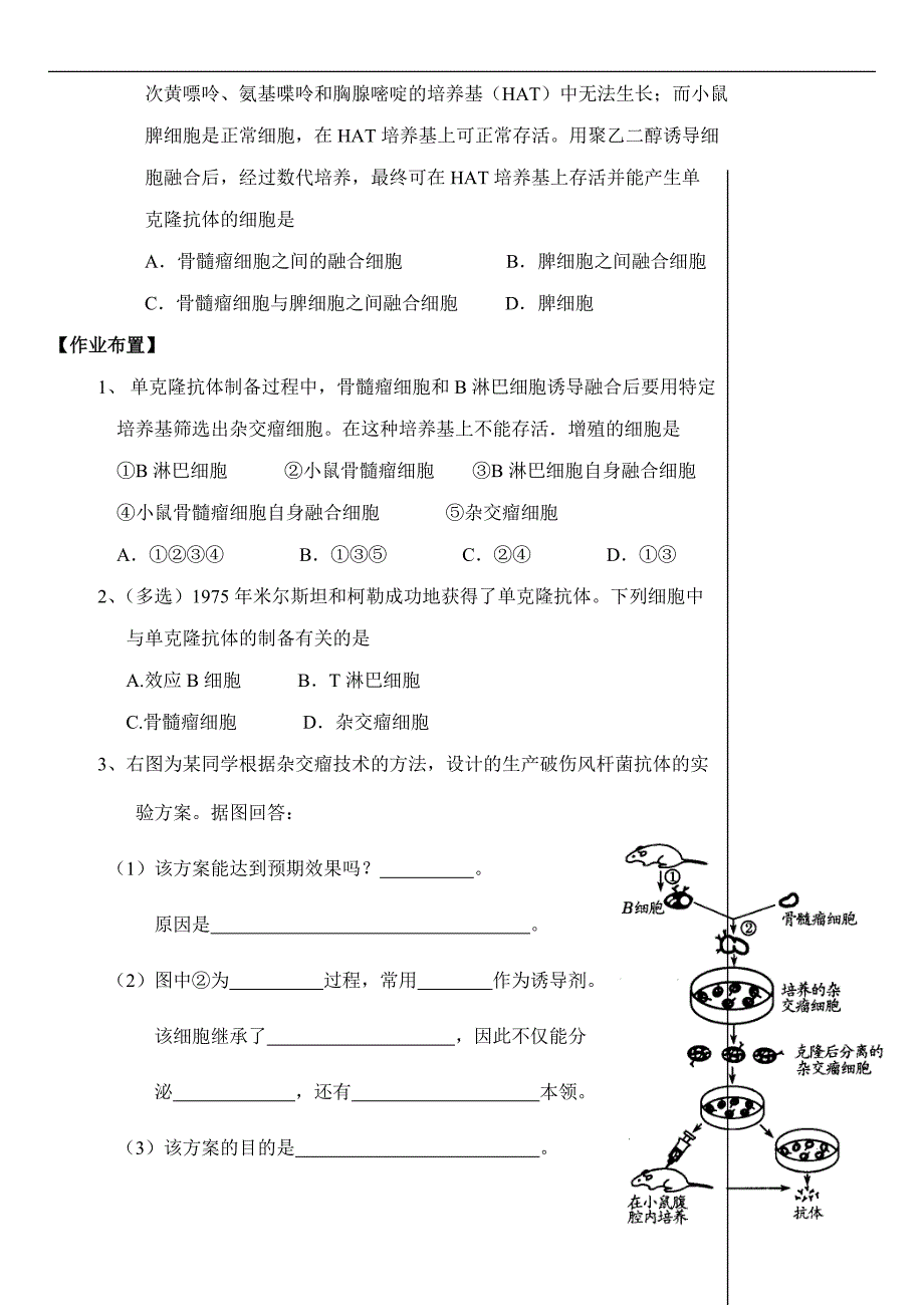 动物细胞工程和单克隆抗体_第3页