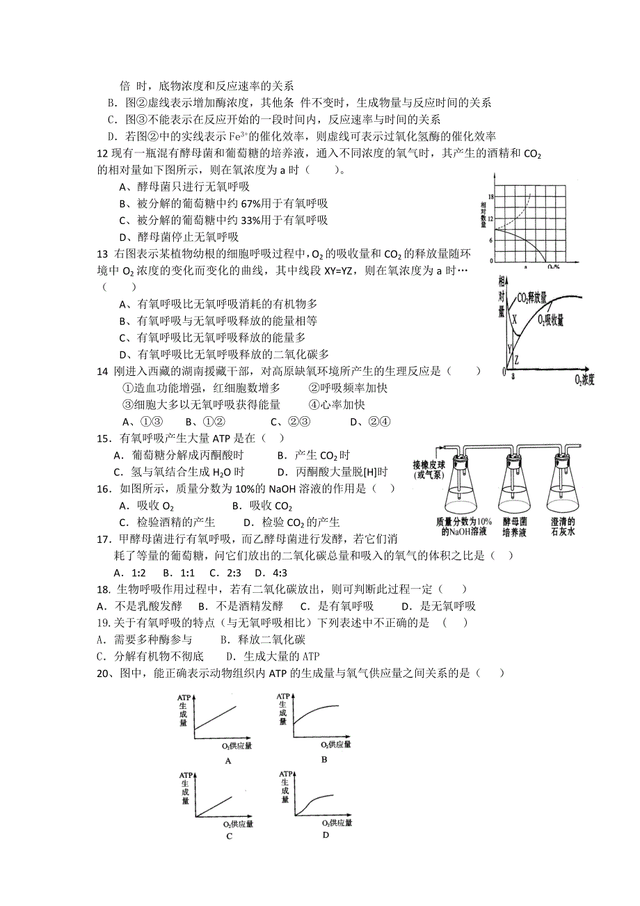 酶和atp题及答案_第2页