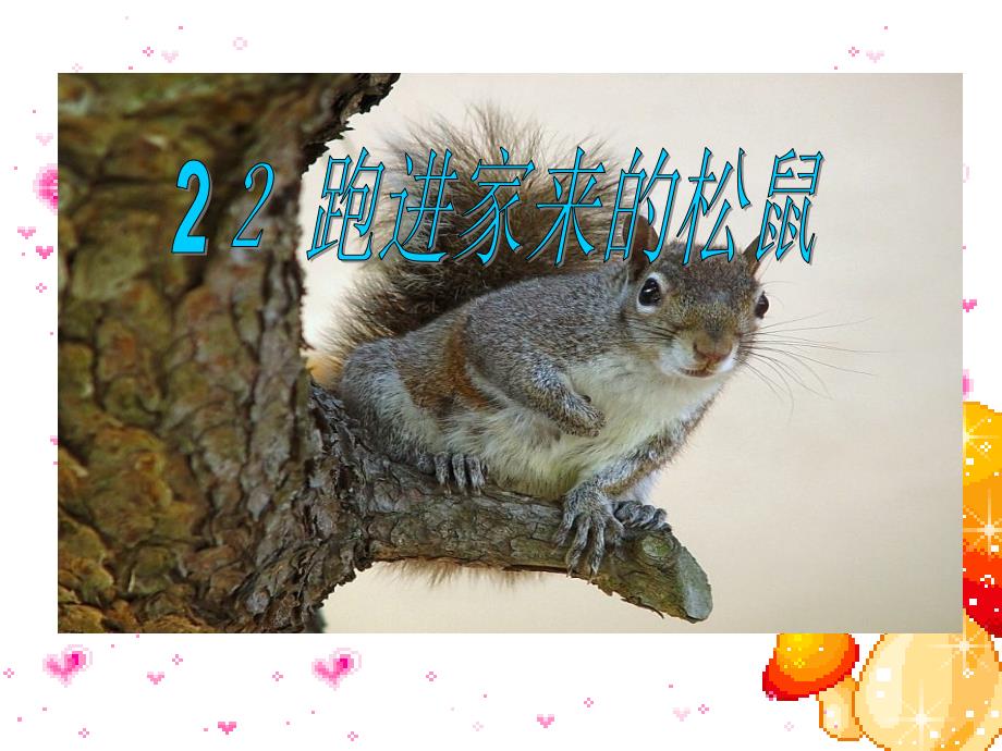 22、跑进家来的松鼠_第1页